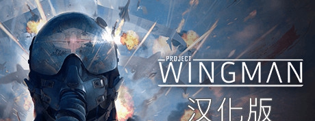 【VR汉化】僚机计划 VR（Project Wingman）