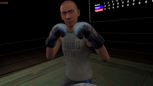 [VR游戏下载] 真实拳击VR（True Boxing VR）