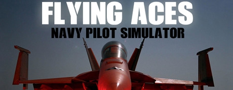 [VR交流学习]飞行王牌:海军飞行员(Flying Aces - Navy Pilot Simulator)