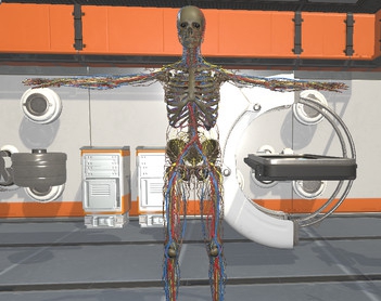 外科三维骨骼 Surgical Study and 3D Skeletons for Medical School Students