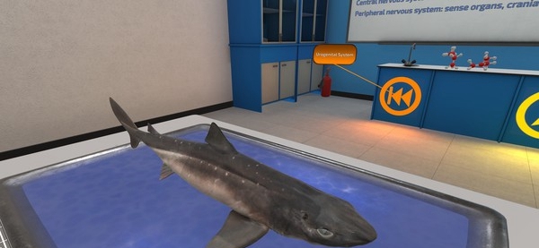 [VR交流学习]解剖模拟器：狗鲨 (Dissection Simulator: Dogfish Edition)