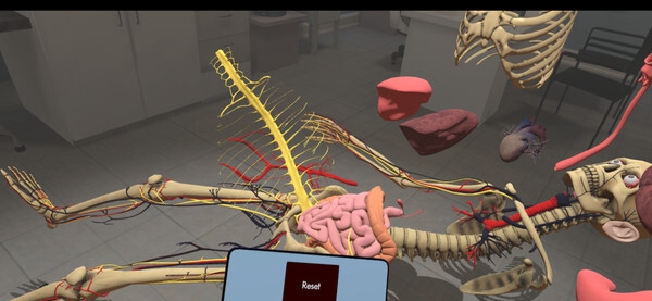 [VR游戏下载] 人体构造器VR（Human Constructor VR）