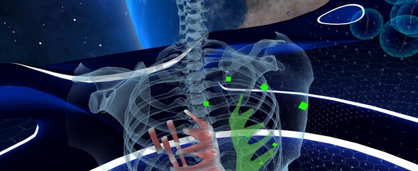 [免费VR游戏下载]基本解剖 (Elementary Anatomy: With Story Mode)
