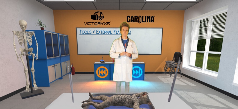 [Oculus quest] 解剖猫科动物 VR（Cat Dissection）