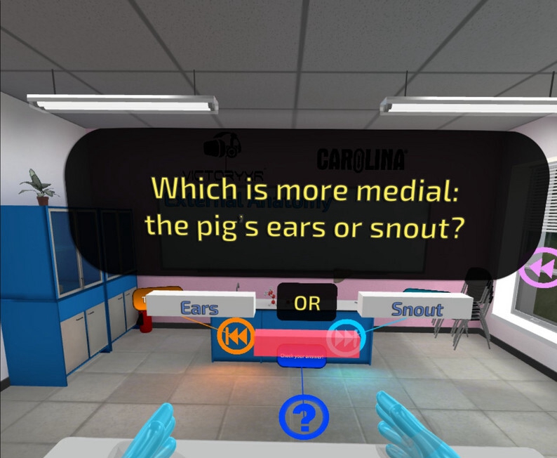 [Oculus quest] 解剖家猪 VR (VR Pig Dissection: Hoggin’ the Scalpel)